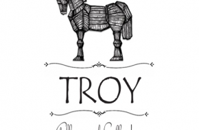 LOGO TROY500 500