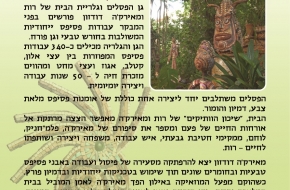  דודזון פלייר 01